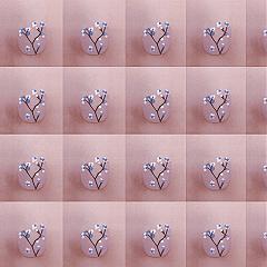 Mastering Blue & White Floral Nail Art: Step-by-Step Flower Design