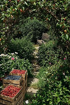 Dream Edible Garden: Lush Fruit & Berry Oasis Ideas