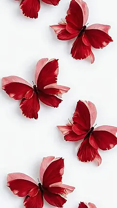 2025: A Crimson Fantasy