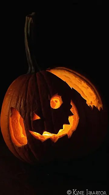 Pumpkin’s Monday Blues