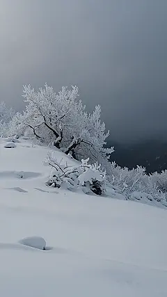 Time’s Frozen Embrace: