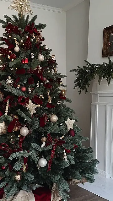 Tree’s Best Friend