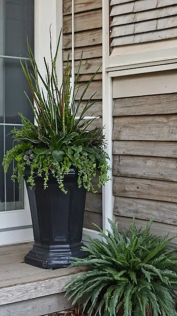 Front Porch Greenery