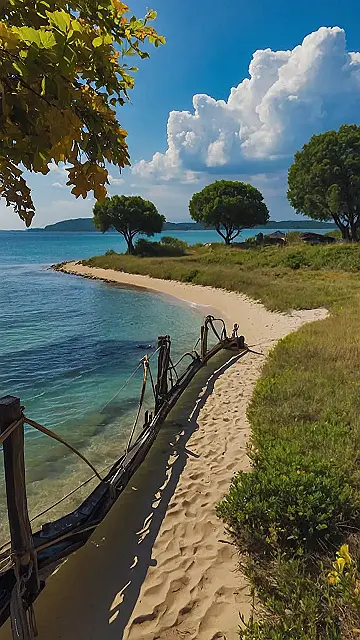 “Shipwrecked Beauty”