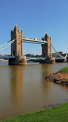 Twin Towers’ Tale: