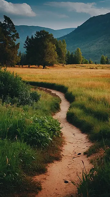 “Where the Path Leads”