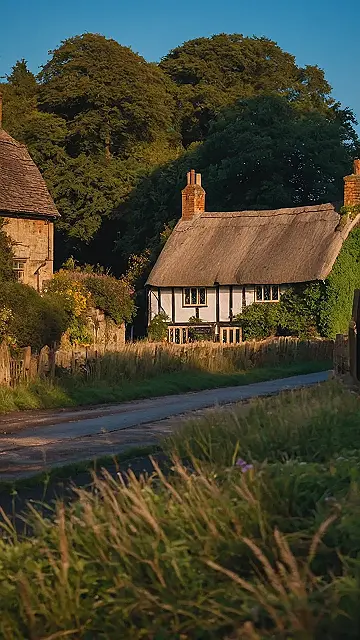 Thatched Roof Dreams: