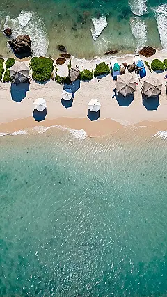 Shoreline Chronicles