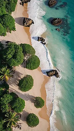 Saltwater Photo Dump