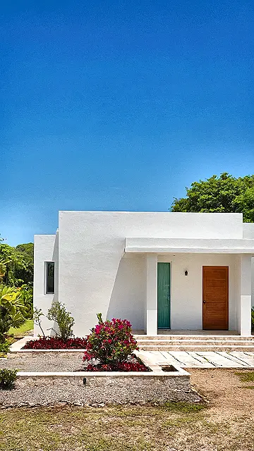 Tropical Living Dream