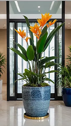 Petal Perfect Living