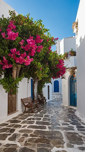 The View Finder’s Vacation