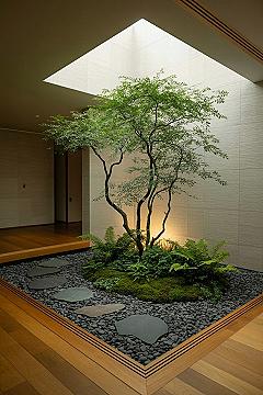 Zen Courtyard: Serene Indoor Japanese Garden Inspiration