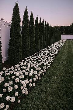 Elegant Front Yard Garden Layouts: Boost Curb Appeal