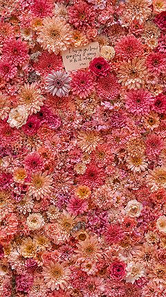 Lift Your Mood with Aesthetic Floral Wallpaper Art