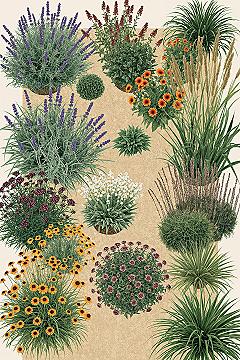 Dreamy Low-Maintenance Garden Borders for Effortless Beauty