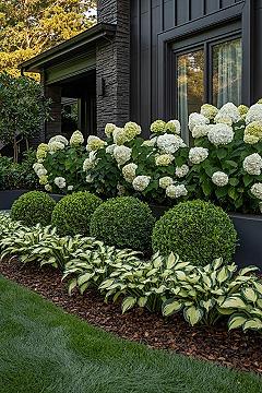 Elegant Hydrangea & Boxwood Front Yard Landscaping