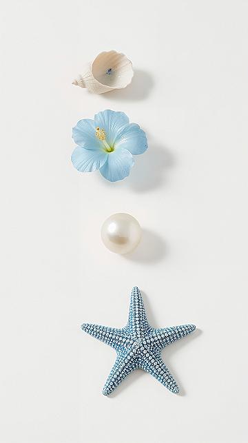 Ocean Art iPhone Wallpaper: Seashells & Hibiscus for Summer