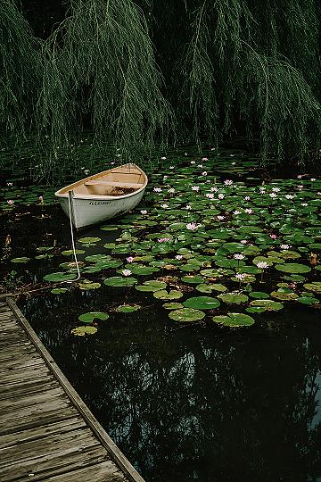 Whimsical Rowboat Scene: Vintage Flower Garden Aesthetic & Relaxing Landscapes