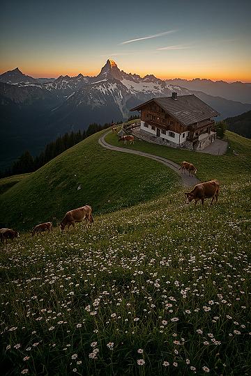 Alpine Sunset: Golden Hour Magic in the Swiss Mountains