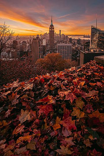 New York City in Fall: Breathtaking Autumn Views