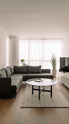 Modern Minimalist Apartment Living Room: L-Shape Sofa & Neutral Palette