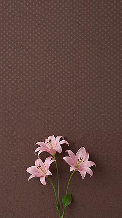 Vintage Chic: Polka Dots & Pink Flowers WhatsApp Wallpaper
