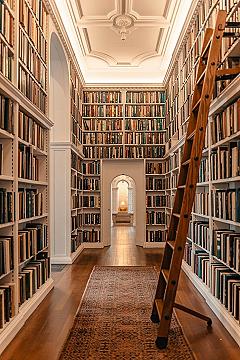 Luxury Home Library Designs: Dark Academia House Interior Sanctuary