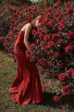 Stunning Red Garden Photoshoot & Fairy Garden Aesthetic