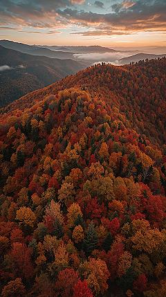 Autumn Mountain Majesty: Vibrant Foliage & Misty Valleys