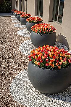 Modern Walkway Landscaping with Potted Tulips