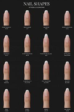 Nail Shapes Guide: Short to Extra Long Popular Styles