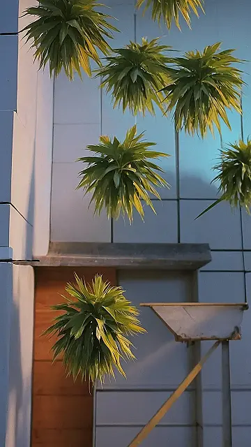 Nature’s Elegance