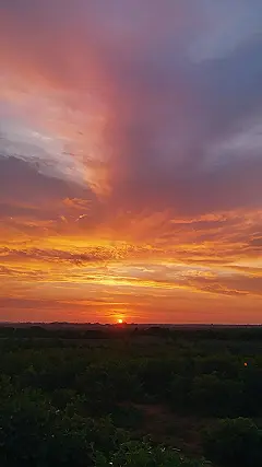 The Sun’s Last Stand