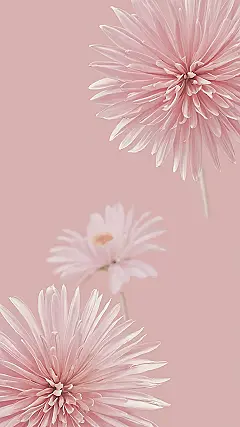 Floral Fusion: