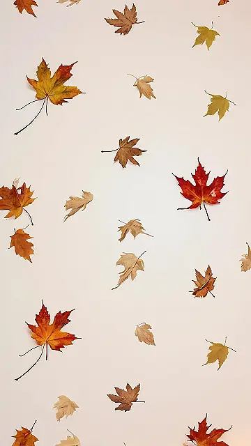 Falling for November