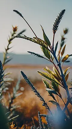 Nature’s iPhone Canvas