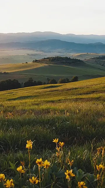 Mirror, Mirror on the Peak