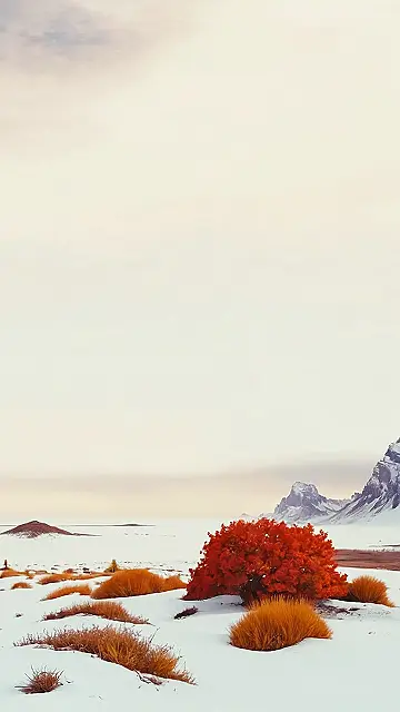 November’s Unexpected Surprise