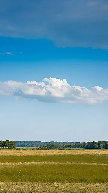 Field of Danish Dreams