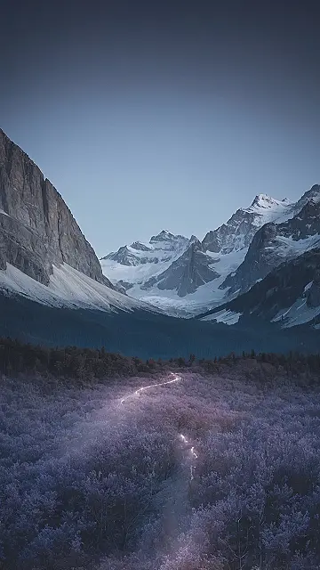 Enchanted Screenscapes