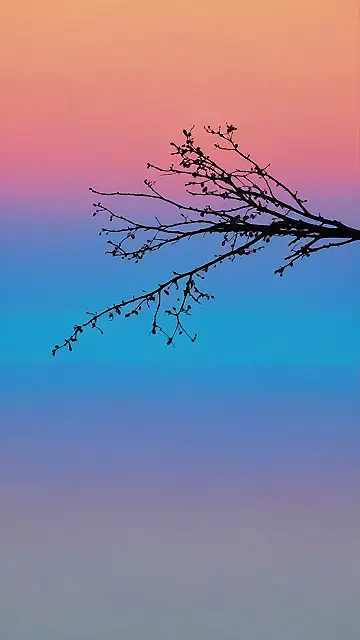 Aura Adorned Screens