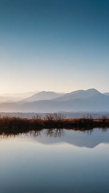 Nature’s Edge Screen