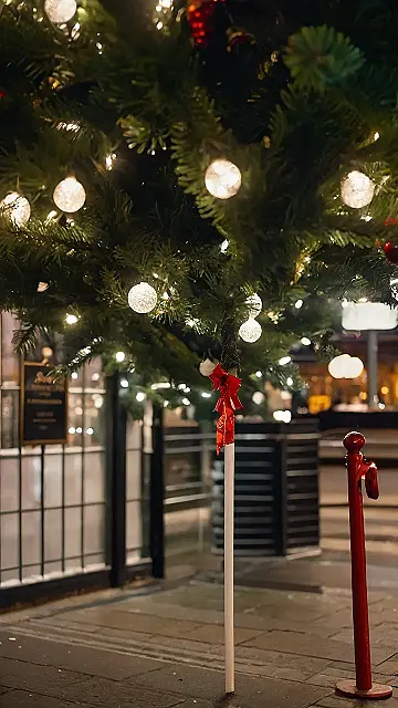 Twinkling Lights & London Nights
