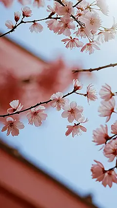 Bloom & Bloom