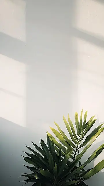 Quietude