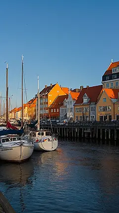 Scandi-Cool Immersion