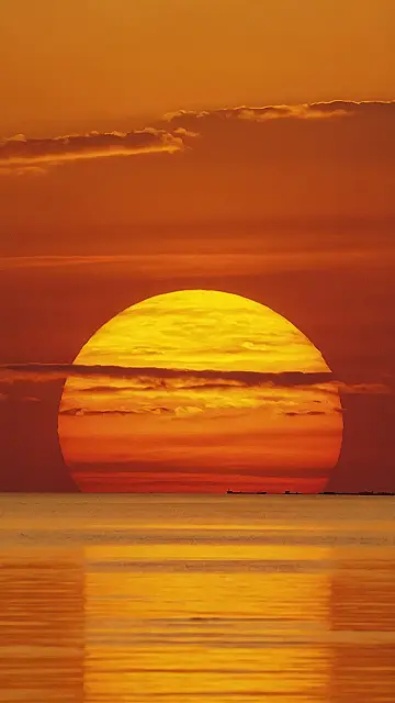 Sun-Kissed Serenity: