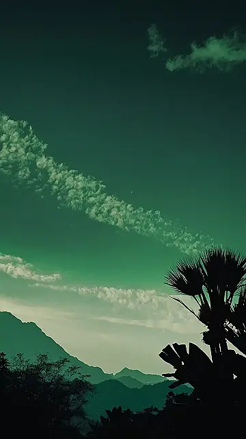 Emerald Embrace: