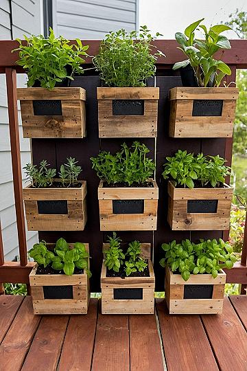Building a Vertical Wooden Wall Planter